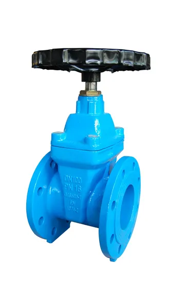 Double Flange Gate Valve DN50-DN300 Pn16
